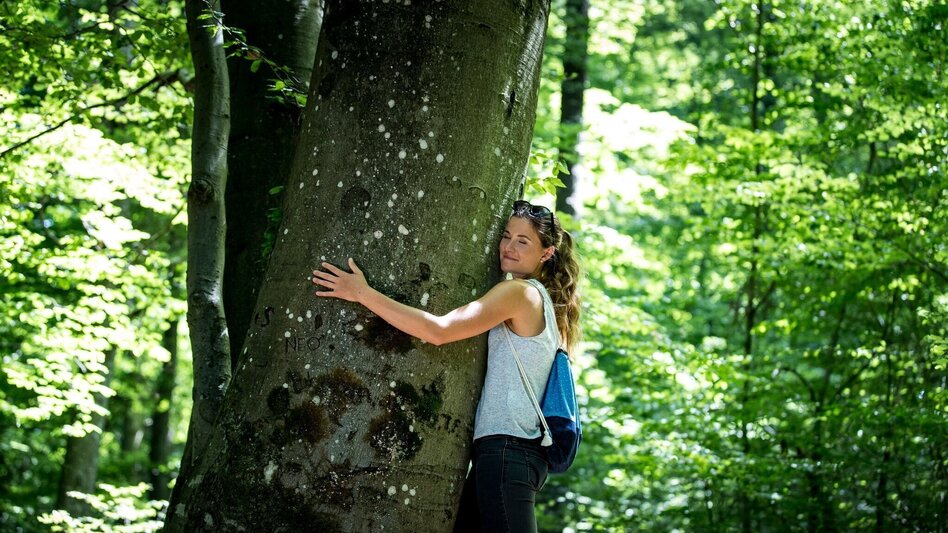 Wanderung Erlebnisweg sebastian RELOADED® - Touren-Impression #2.5 | © Region Graz