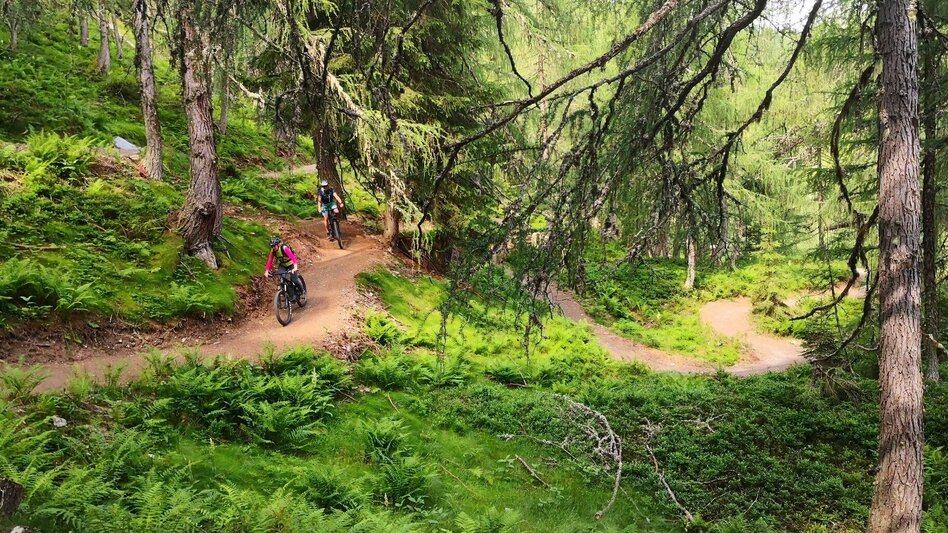 Mountain Biking Uphill Flow Trail - Touren-Impression #2.6 | © Erlebnisregion Schladming-Dachstein