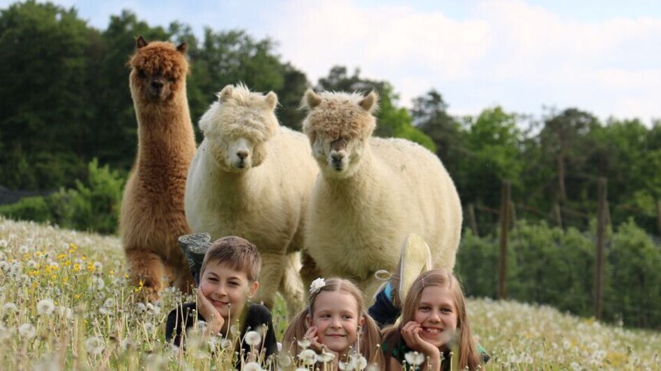 Bike Riding 4 Elemente Tour WASSER 1 im Thermen- & Vulkanland Steiermark - Touren-Impression #2.9 | © Apfelland Alpaka (c) Stephanie Hasenburger