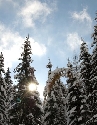 Winterzauber | Schladming Dachstein | © © www.haus.at
