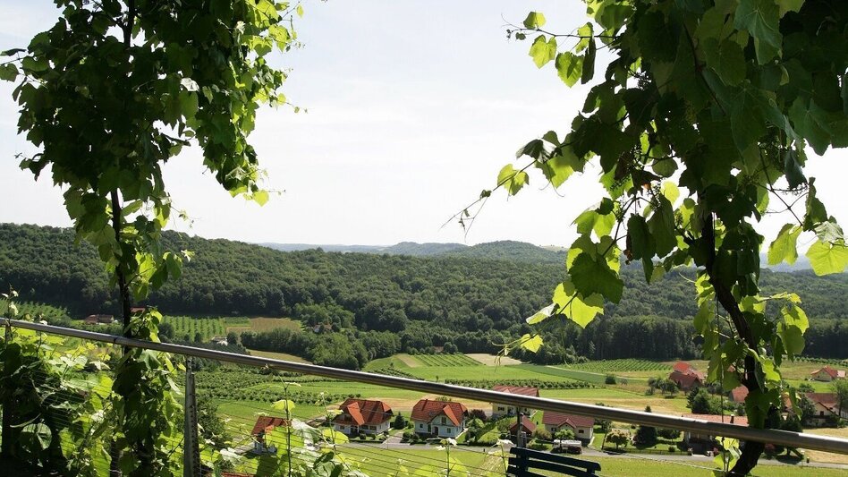 Radfahren 4 Elemente Tour FEUER 2 im Thermen- & Vulkanland Steiermark - Touren-Impression #2.3 | © Thermen- & Vulkanland
