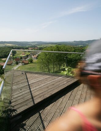 Gesamtsteirische Vinothek_Weinlaub | Harald Eisenberger | © Thermen- & Vulkanland