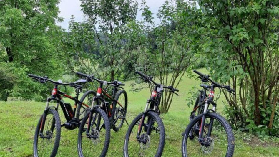 Bike Riding 4 elements tour FIRE 1 in the thermal & volcanic country Styria - Touren-Impression #2.2 | © Kollerwirt