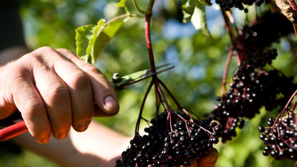Bike Riding 4 elements tour FIRE 1 in the thermal & volcanic country Styria - Touren-Impression #2.3 | © Holler Vulkan