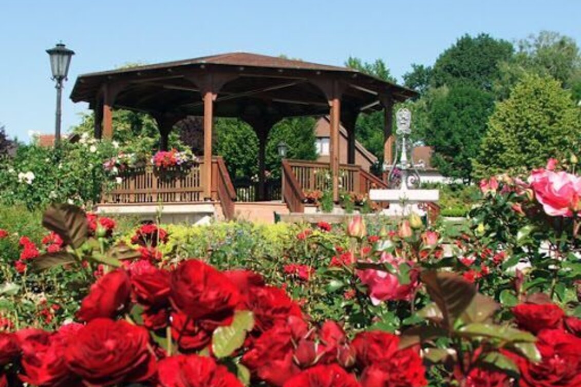 Bike Riding 4 elements tour EARTH 1 in the thermal & volcanic country Styria (4 Elemente Tour ERDE 1 im Thermen- & Vulkanland Steiermark) - Touren-Impression #1 | © Rosarium_(c) Gemeinde St. Stefan im Rosental