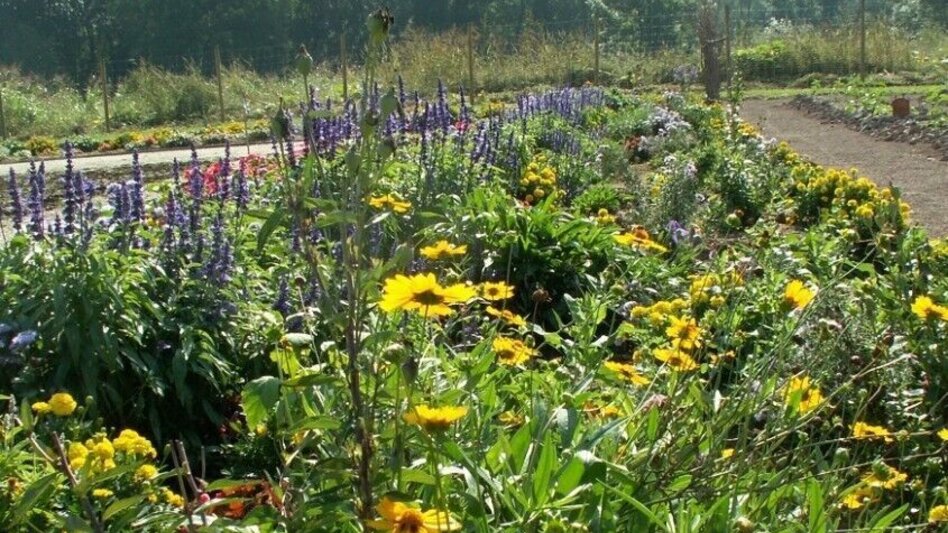 Bike Riding 4 Elements Tour EARTH 2 in the Thermal & Volcanic Land Styria (4 Elemente Tour ERDE 2 im Thermen- & Vulkanland Steiermark) - Touren-Impression #2.8 | © Energieagentur Weststeiermark