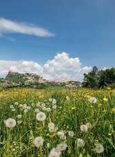 4 elemente tour luft 1 im thermen- & vulkanland steiermark_img_49810275 | © Erlebnisregion Thermen- & Vulkanland | Harald Eisenberger | © Erlebnisregion Thermen- & Vulkanland