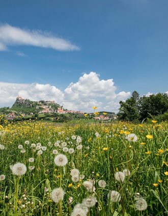 4 elemente tour luft 1 im thermen- & vulkanland steiermark_img_49810275 | Harald Eisenberger | © Erlebnisregion Thermen- & Vulkanland