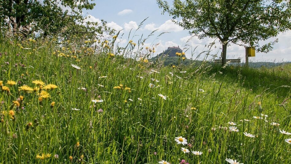 Bike Riding 4 Elemente Tour LUFT 1 im Thermen- & Vulkanland Steiermark - Touren-Impression #2.3 | © Erlebnisregion Thermen- & Vulkanland