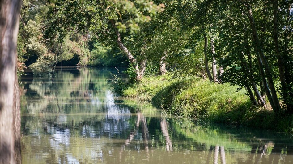 Bike Riding 4 Elemente Tour LUFT 1 im Thermen- & Vulkanland Steiermark - Touren-Impression #2.4 | © Thermen- & Vulkanland