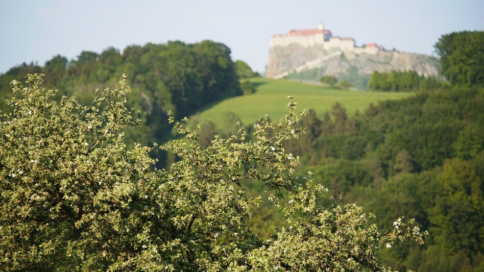 Bike Riding 4 Elemente Tour LUFT 1 im Thermen- & Vulkanland Steiermark - Touren-Impression #2.6 | © © Thermen- & Vulkanland Steiermark_Harald Eisenberger