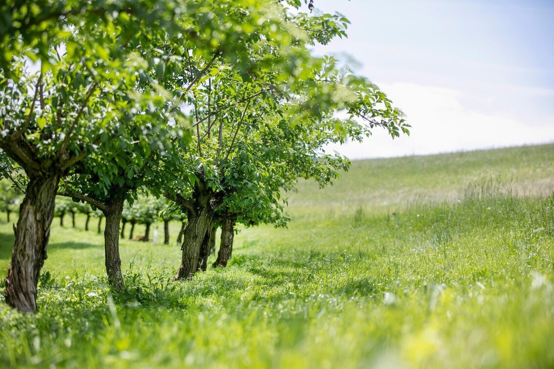 Bike Riding 4 Elemente Tour LUFT 2 im Thermen- & Vulkanland Steiermark - Touren-Impression #1 | © Thermen- & Vulkanland Steiermark