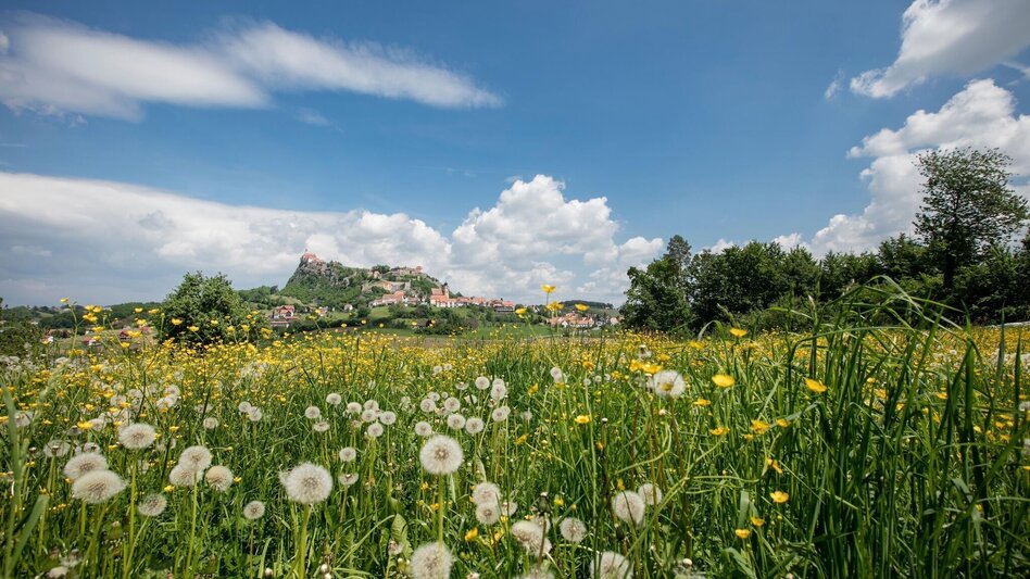 Bike Riding 4 Elemente Tour LUFT 2 im Thermen- & Vulkanland Steiermark - Touren-Impression #2.8 | © Erlebnisregion Thermen- & Vulkanland