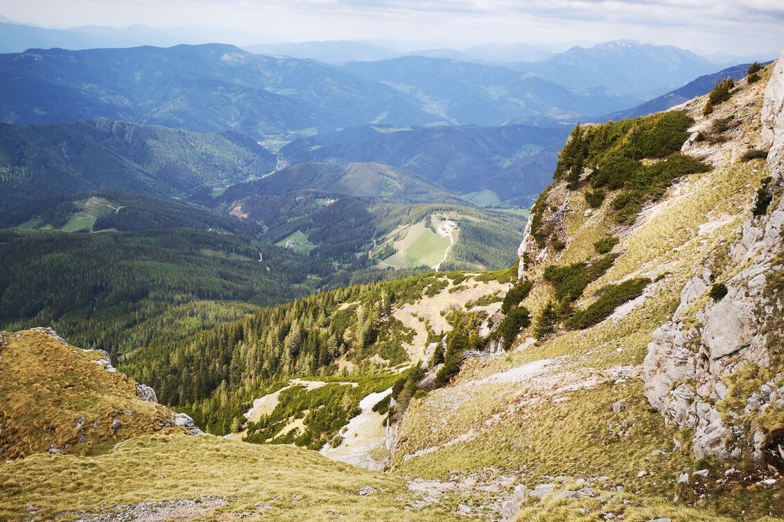 Mountain Hike From Preiner Gscheid via the ‘Kleine Fuchsloch’ to the Rax in the Mürzer Oberland Nature Park - Touren-Impression #1 | © TV Hochsteiermark