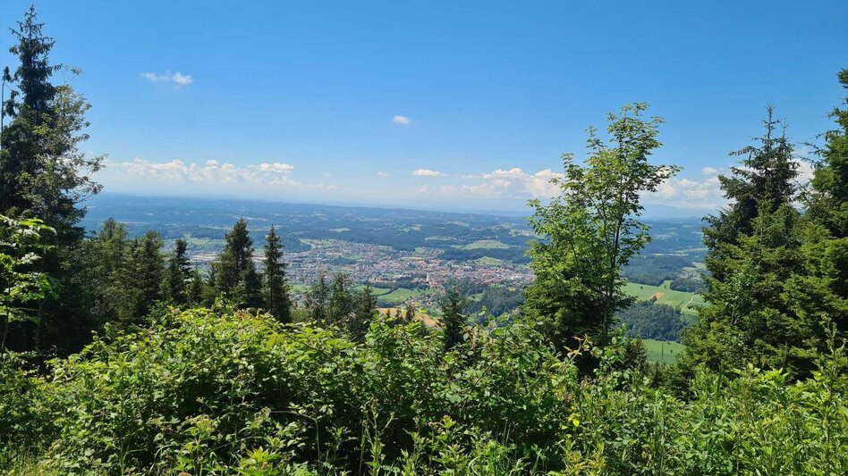 Hiking route From Weiz to the Raas summit - Touren-Impression #2.21 | © Oststeiermark Tourismus