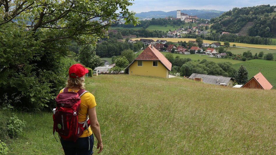 Hiking route From Weiz to the Raas summit - Touren-Impression #2.3 | © WEGES