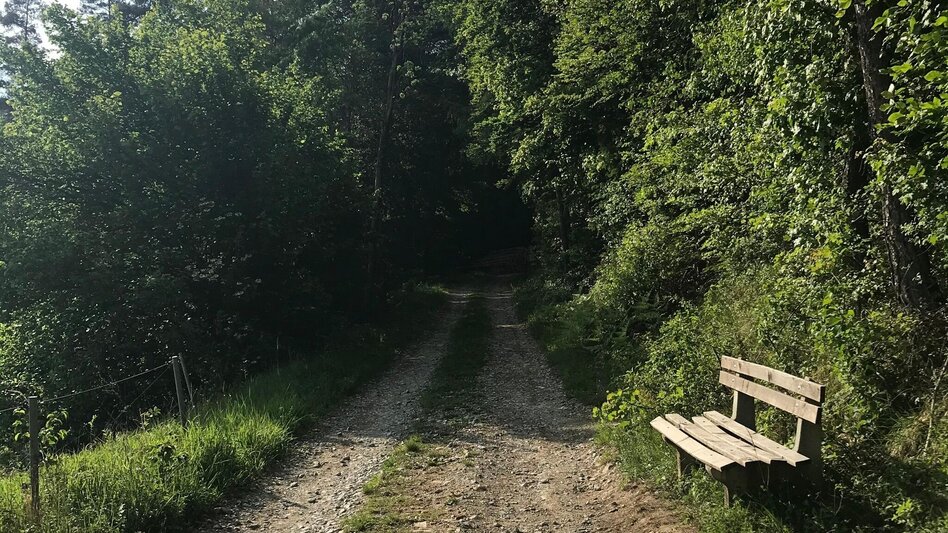 Hiking route From Weiz to the Raas summit - Touren-Impression #2.7 | © Oststeiermark Tourismus