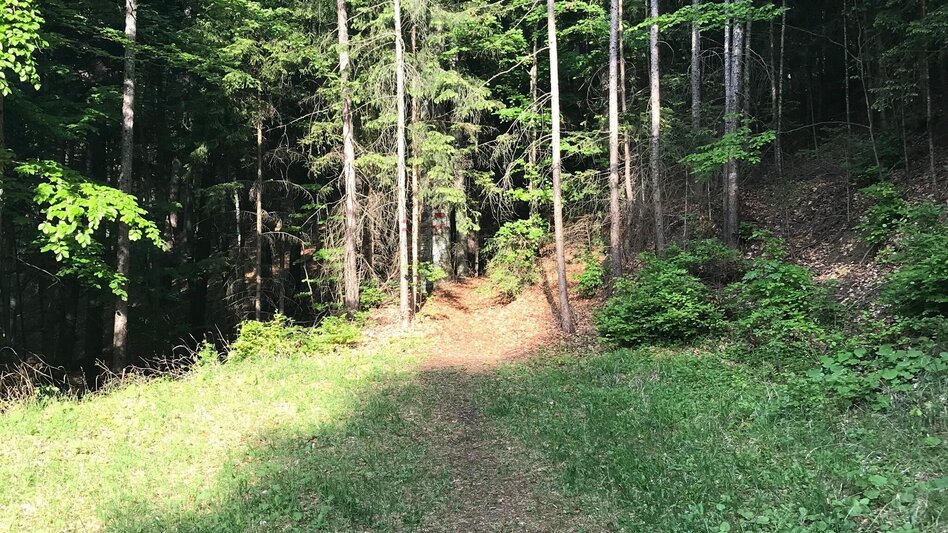 Hiking route From Weiz to the Raas summit - Touren-Impression #2.9 | © Oststeiermark Tourismus