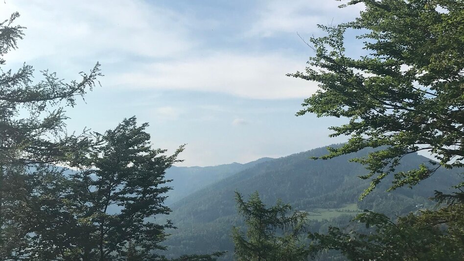 Hiking route From Weiz to the Raas summit - Touren-Impression #2.13 | © Oststeiermark Tourismus