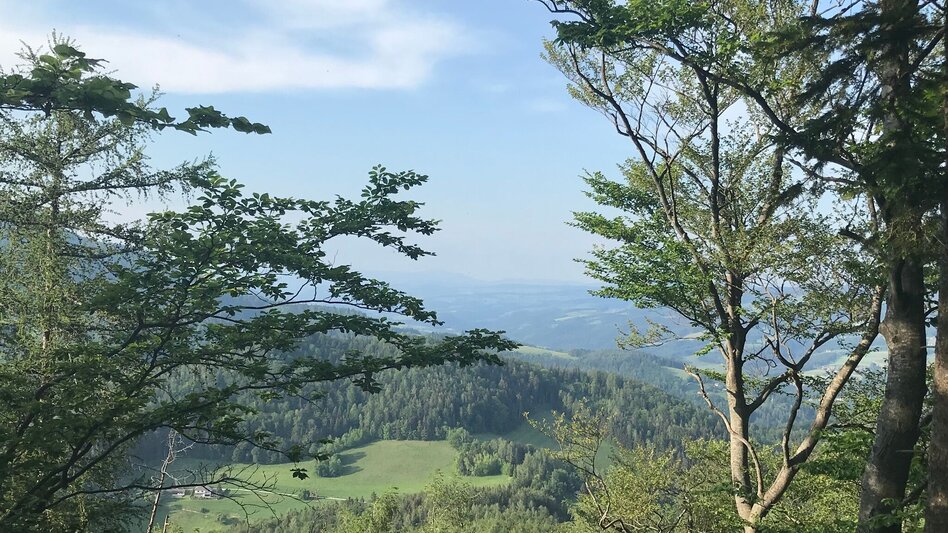 Hiking route From Weiz to the Raas summit - Touren-Impression #2.15 | © Oststeiermark Tourismus