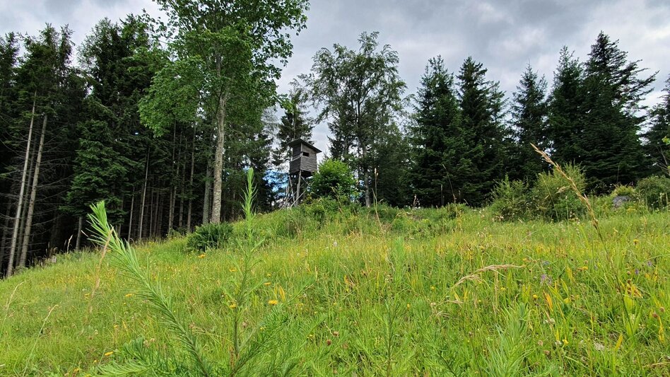 Hiking route From Weiz to the Raas summit - Touren-Impression #2.18 | © Oststeiermark Tourismus