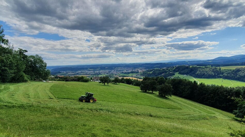 Hiking route From Weiz to the Raas summit - Touren-Impression #2.19 | © Oststeiermark Tourismus