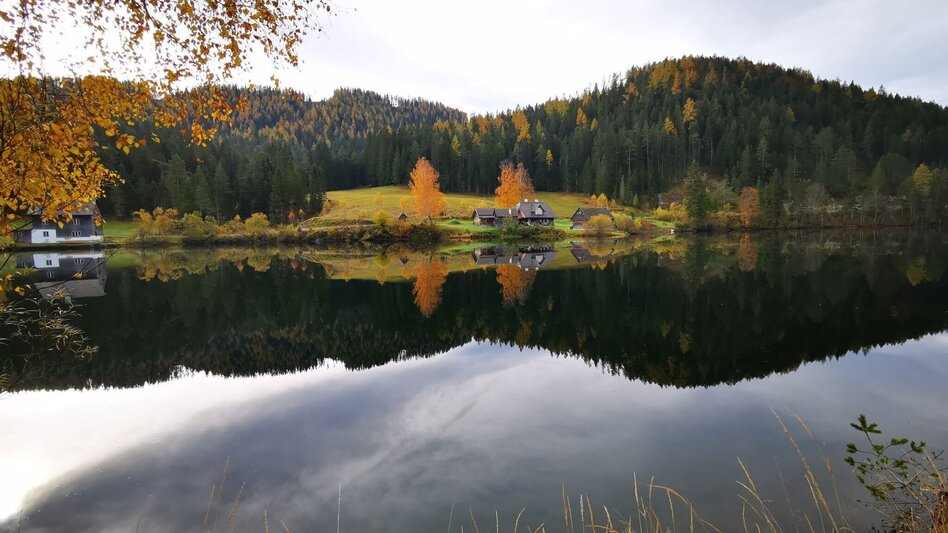 Wanderung Kraftplatz Hubertussee - Touren-Impression #2.4 | © TV Hochsteiermark