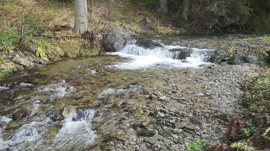Familienwanderwege Wald zu Wald Wanderung in Roseggers Waldheimat am Alpl - Touren-Impression #2.2 | © TV Hochsteiermark