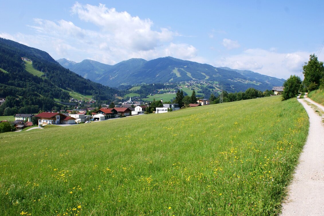 Jogging The Panorama Run - Touren-Impression #1 | © Gerhard Pilz - www.gpic.at