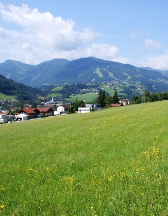 PANORAMA running tour along the Roman Tour | Gerhard Pilz | © Gerhard Pilz - www.gpic.at