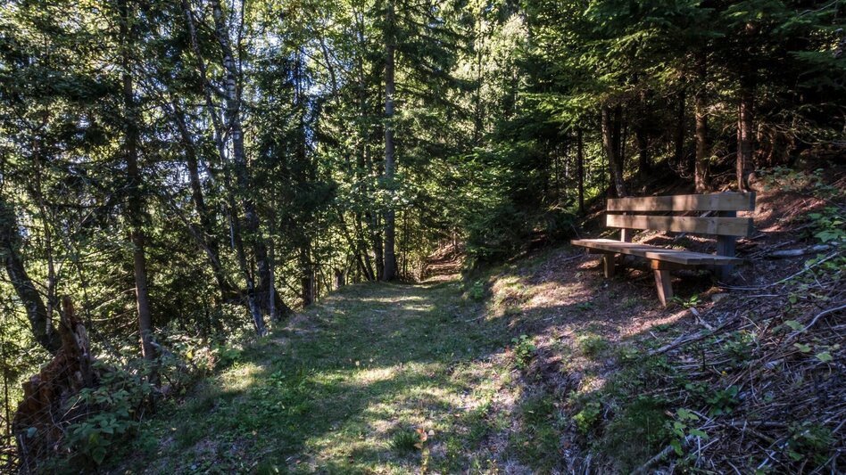 Nordic Walking Forest Trail - Touren-Impression #2.2 | © Gerhard Pilz - www.gpic.at