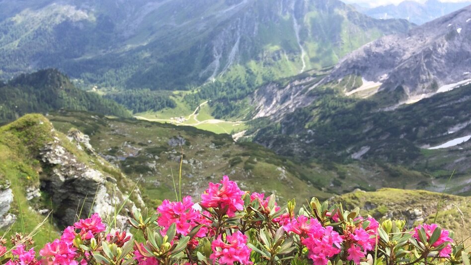 Mountain Hike 2-days-hike:  Giglachsee Tour - Touren-Impression #2.19 | © Tourismusverband Schladming - Katrin Hutegger