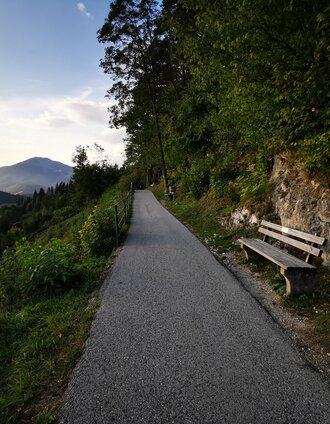 Entlang des Weges | Brigitte Digruber | © TV Hochsteiermark