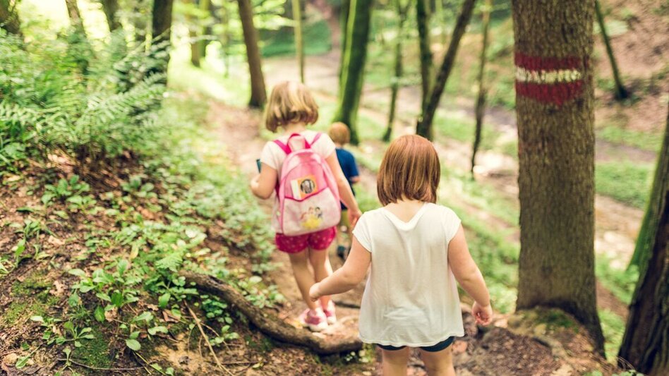 Theme path Legend trail with motorikpark (Sagenpfad mit Motorikpark) - Touren-Impression #2.5 | © T