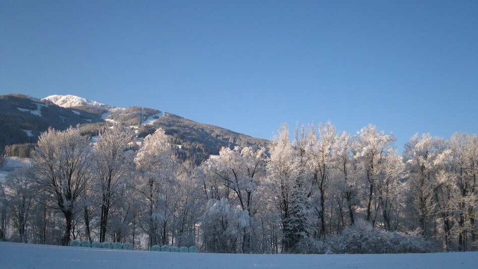 Winterwandern Dörferwanderung im Ennstal - Touren-Impression #2.1 | © Unbekannt