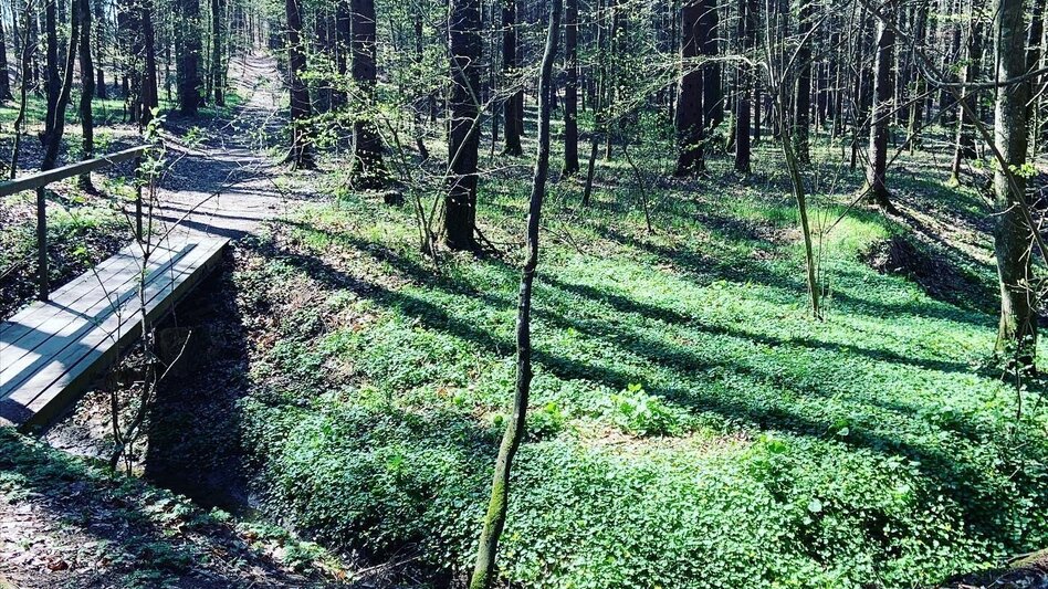 Hiking route Augustiner circular route (Augustiner-Rundweg) - Touren-Impression #2.2 | © Erlebnisregion Thermen- & Vulkanland