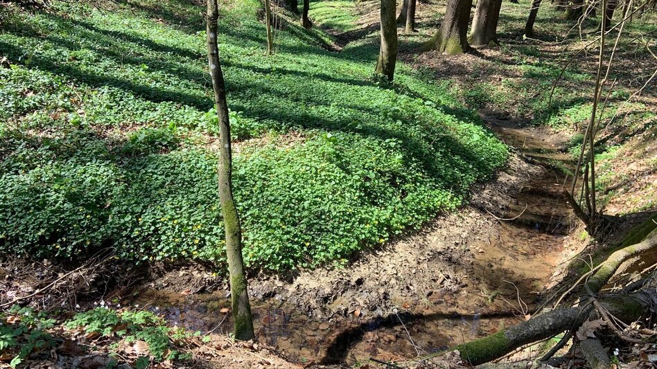 Hiking route Augustiner circular route (Augustiner-Rundweg) - Touren-Impression #2.4 | © Erlebnisregion Thermen- & Vulkanland