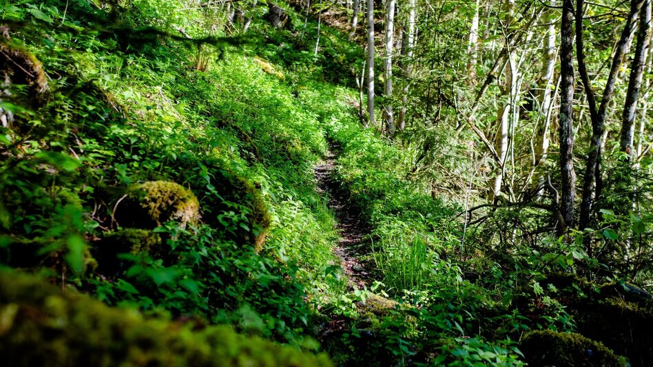 Wanderung Wasserschloss Rundweg - Touren-Impression #2.2 | © Erlebnisregion Schladming-Dachstein