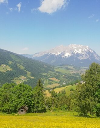 Fast auf Augenhöhe mit dem alten König der Steiermark | Roland Gutwenger | © Tourismusverband Grimming-Donnersbachtal