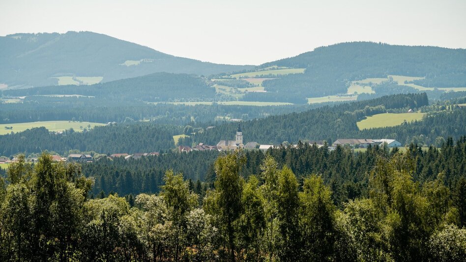 Bike Riding Arzbergrunde from Wenigzell, Wenigzell - Touren-Impression #2.1 | © Oststeiermark Tourismus