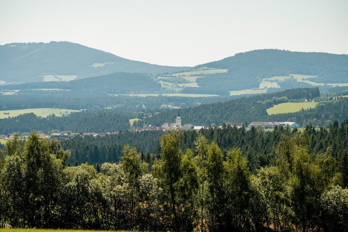Bike Riding Arzbergrunde from Wenigzell, Wenigzell - Touren-Impression #1 | © Oststeiermark Tourismus