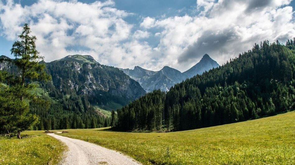 Wanderung Kaiserau - Klinkehütte - Lahngangkogel - Wagenbänkalm - Touren-Impression #2.1 | © TV Gesäuse
