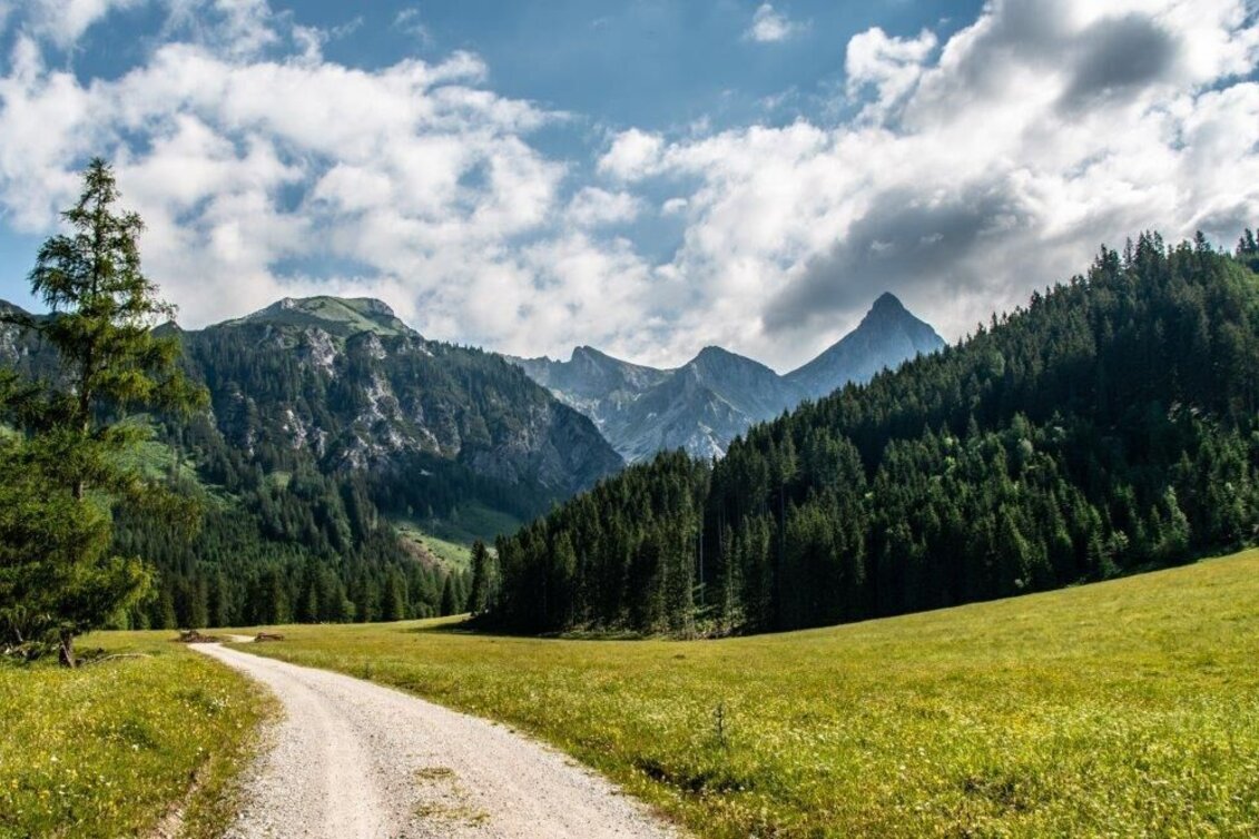 Wanderung Kaiserau - Klinkehütte - Lahngangkogel - Wagenbänkalm - Touren-Impression #1 | © TV Gesäuse