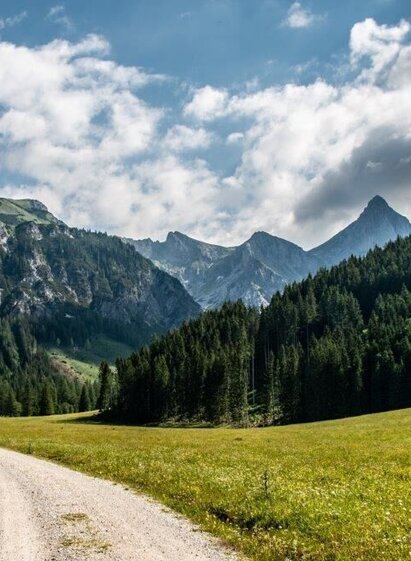 erstes stück am Forstweg | © TV Gesäuse | Tourismusverband Gesäuse | © TV Gesäuse