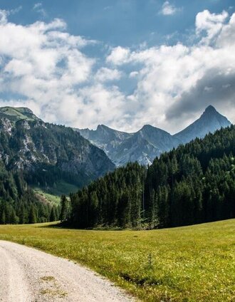 erstes stück am Forstweg | Tourismusverband Gesäuse | © TV Gesäuse