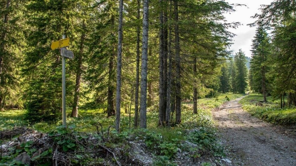 Wanderung Kaiserau - Klinkehütte - Lahngangkogel - Wagenbänkalm - Touren-Impression #2.2 | © TV Gesäuse