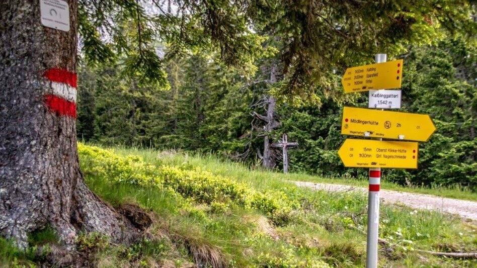 Wanderung Kaiserau - Klinkehütte - Lahngangkogel - Wagenbänkalm - Touren-Impression #2.6 | © TV Gesäuse