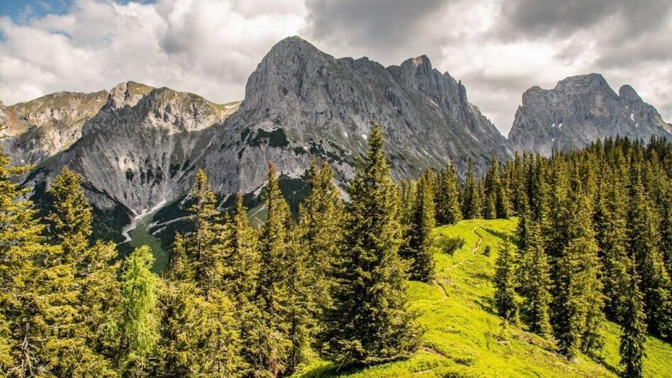 Wanderung Kaiserau - Klinkehütte - Lahngangkogel - Wagenbänkalm - Touren-Impression #2.8 | © TV Gesäuse