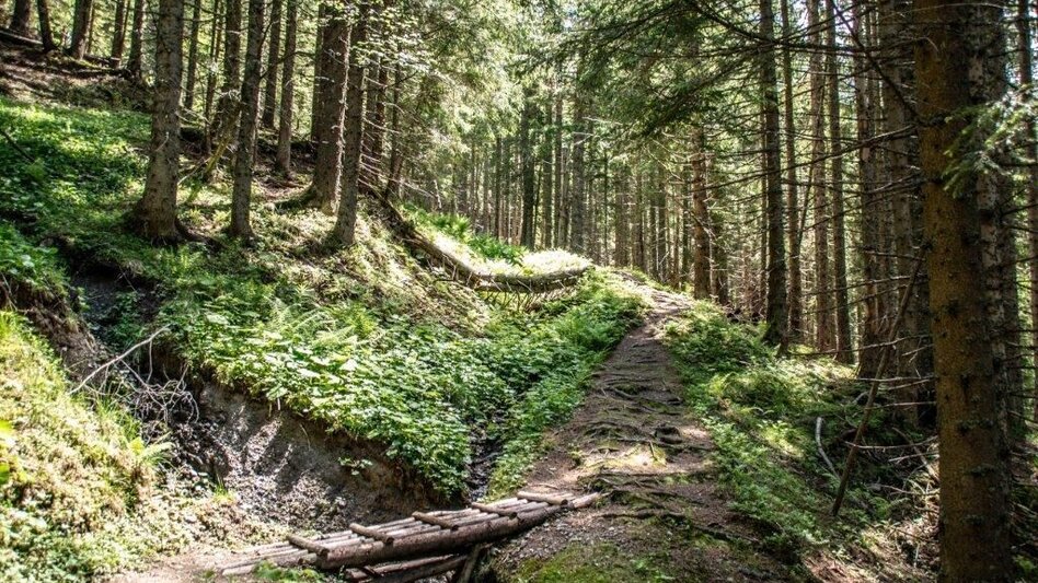 Wanderung Kaiserau - Klinkehütte - Lahngangkogel - Wagenbänkalm - Touren-Impression #2.14 | © TV Gesäuse