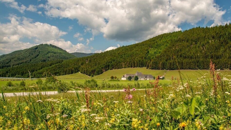 Wanderung Kaiserau - Klinkehütte - Lahngangkogel - Wagenbänkalm - Touren-Impression #2.15 | © TV Gesäuse